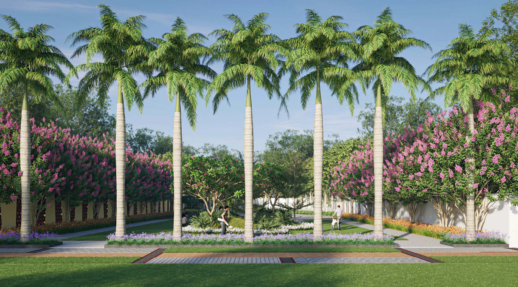 Park View
