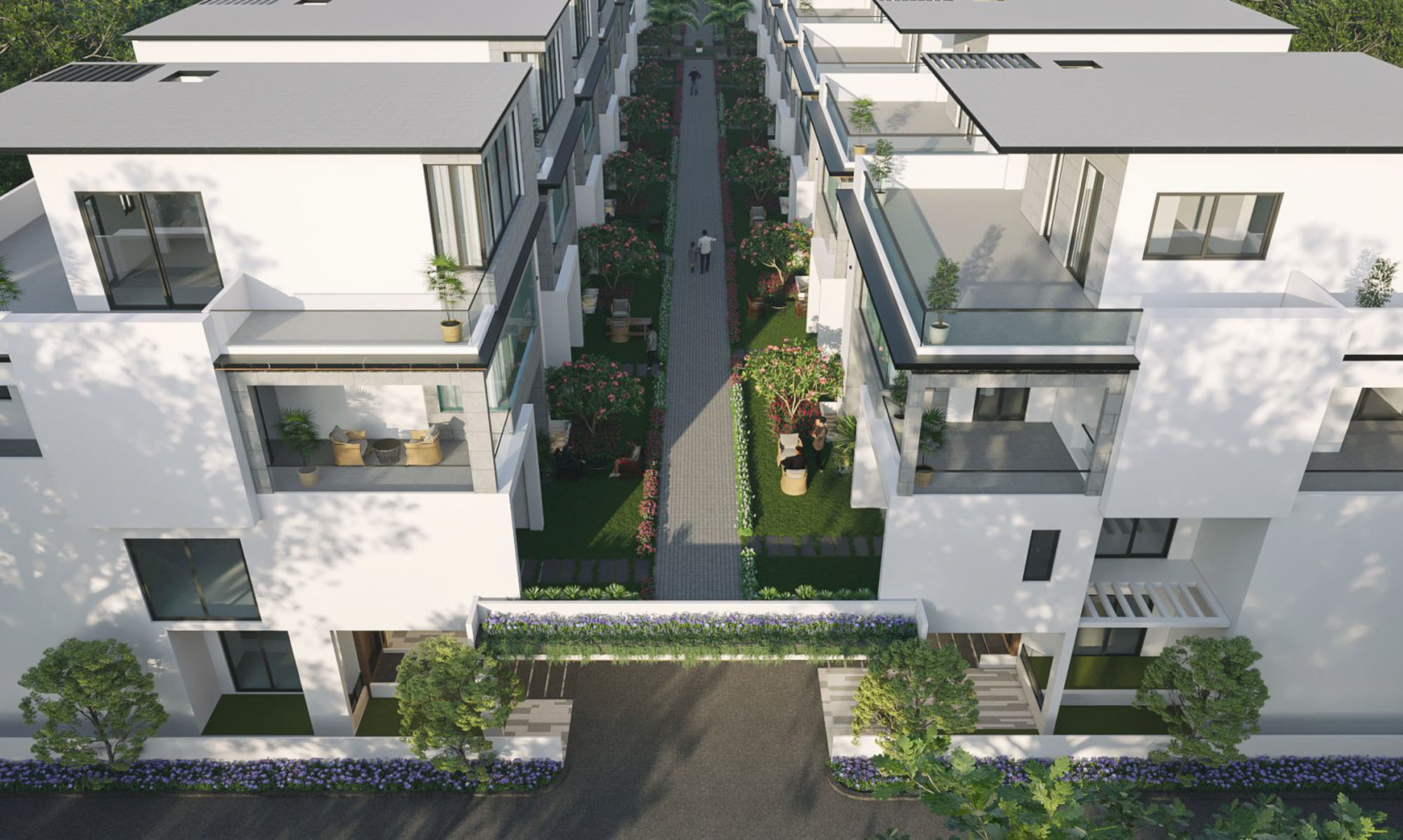Street Top View